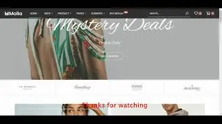 Molla WordPress(How to change Logo/Icon of Molla WordPress)