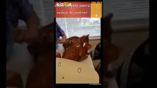 Montage Vidéo Kizoa: My drunk friend