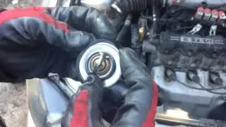 Quick replacement of the thermostat for the Lanos 1.5