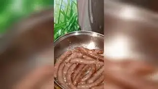 سجق شرقي#مطبخ هبه
