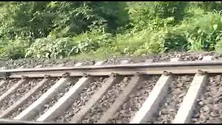 Pune To Mumbai Railway Tracks | Maharashtra | Green Way