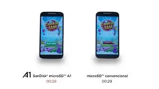 Tarjetas SD A1 Tipo 10