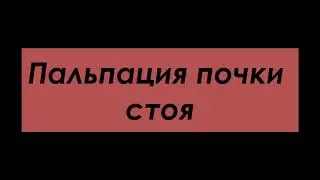 Пальпация почки стоя