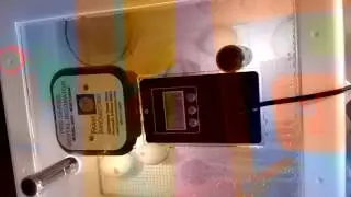 Live video