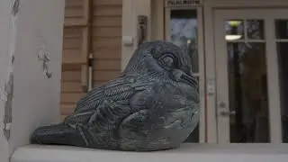 Varakoti Varpunen Lieksa // Urapolkutarina