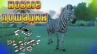 Зебра Вместо Лошадей И Большой Ресторан! Прохождение Planet Zoo В 2022!