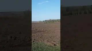 МТЗ 82 ЗАКУЛТИВИРОВАЛИ 8 ГЕКТАР ПОЛЯ