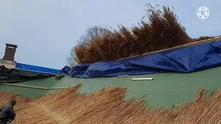 крыша из камыша в Нидерландах!