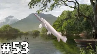 New Fishery, New Fish! Nicaragua Lake! Fishing Clash Gameplay Ep53
