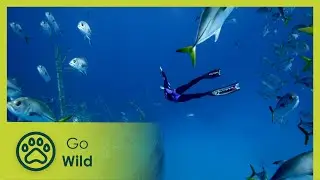 Fragile Mediterranean - Adventure Ocean Quest 2/5  | Go Wild