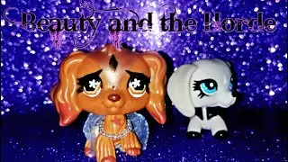 𝓛𝓟𝓢: Q&A 