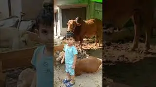 Hashir Arshad with Waira