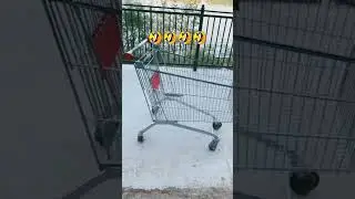 будем кататься на тележке) 🤣🤣🤣 видео не моё!