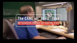The Cane or "Bufo" Toad - An Invasive Impact on Florida Pets