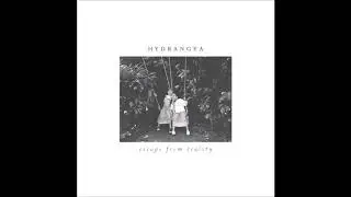 Hydrangea - 01.000/01