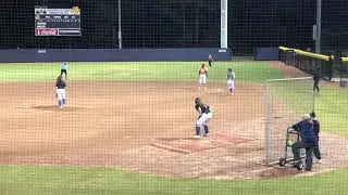 RBI Sac Fly