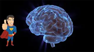 Super-Plasticity: How Our Superhero Brains Mold Themselves