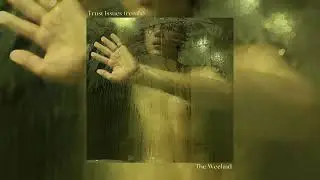Trust Issues (Remix) - The Weeknd