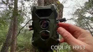 Fototrampeando en el bosque con COOLIFE H953