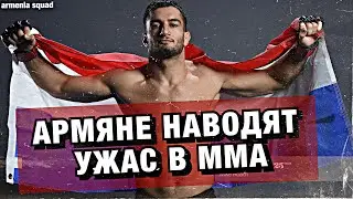 АРМЯНЕ НАВОДЯТ УЖАС В ММА | HighLights/ Knockouts 2020 HD