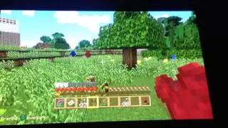 Minecraft ps3 ita custom map:tutti insieme!