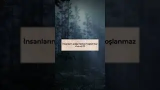 Çoğunluk...