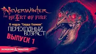 Neverwinter: The Heart of Fire ◈ 