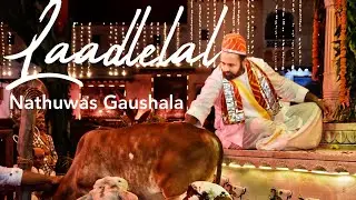 Laadlelal Navneetpriyaji | Nathuwas Gaushala Manorath | Adhikmaas | GVN