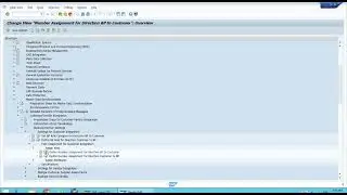 SAP S/4 HANA 020 Link between the BP Grouping and the Account Group