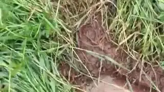 Прикормка на сама