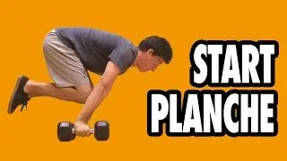 Start Training Planche for Beginners!