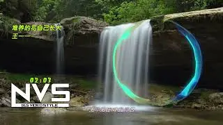 王一一 - 难养的花自己长大 ♪ [NCS Video Style]