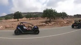 Горные козлы 2 Paphos Cyprus 2019