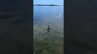 If Only Fishing Was This Easy...