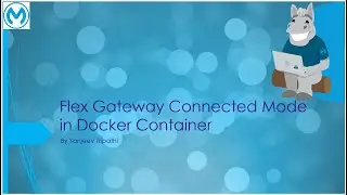 Flex Gateway Part I -Docker, CM & secure Single and Multiple Spring Boot APIs(on diff and same port)