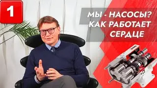 Выпуск 1. Просто о сложном: Мы – насосы? Как работает сердце.