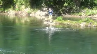 Борьба с Кижучем