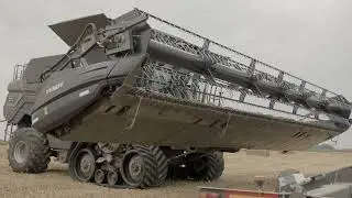 Fendt Ideal 8t🌾Wheat Harvest in Poland 2022🌾Żniwa u Ojdany 🚜🌾