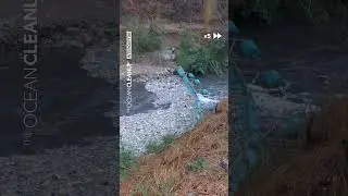 FIRST TRASH FLOOD OF 2024: Will this be our largest river catch ever? 