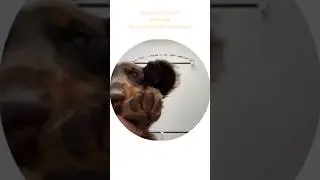 Как выключить в голове эту песню)?