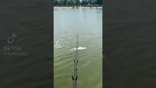 Рыбаки поймут. 