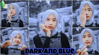 How to edit in snapseed app | Snapseed dark and blue