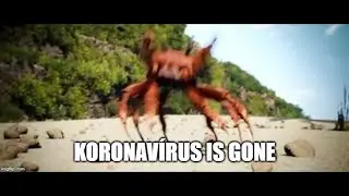 NINCS TÖBB KORONAVÍRUS!
