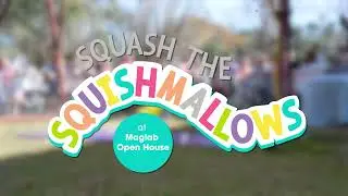 Junkyard Magnet vs. Squishmallow