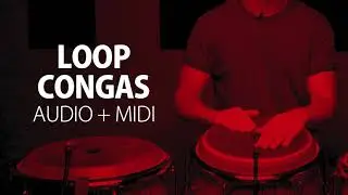 Loop Congas Cha Cha | Audio + Midi | BPM 90 | GRATIS | MEGA