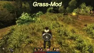Моды для Risen: TitanDMGx3, Fighttraining for Lizards, Grass-Mod.