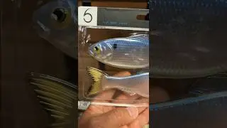 Beautiful lure, isn’t it? It was an impulse buy. Couldn’t resist it lol