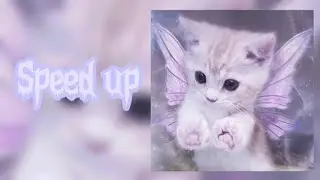~whyspurky, whylovly - Какая {speed up}~🎧💋