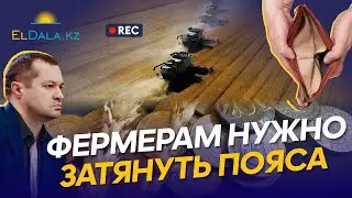 АГРАРИИ РАЗОРЯТСЯ? ПОЧЕМУ ПАДАЮТ ЦЕНЫ НА ПШЕНИЦУ В КАЗАХСТАНЕ?