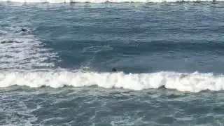 Shortest ride on a wave by a surfer ever